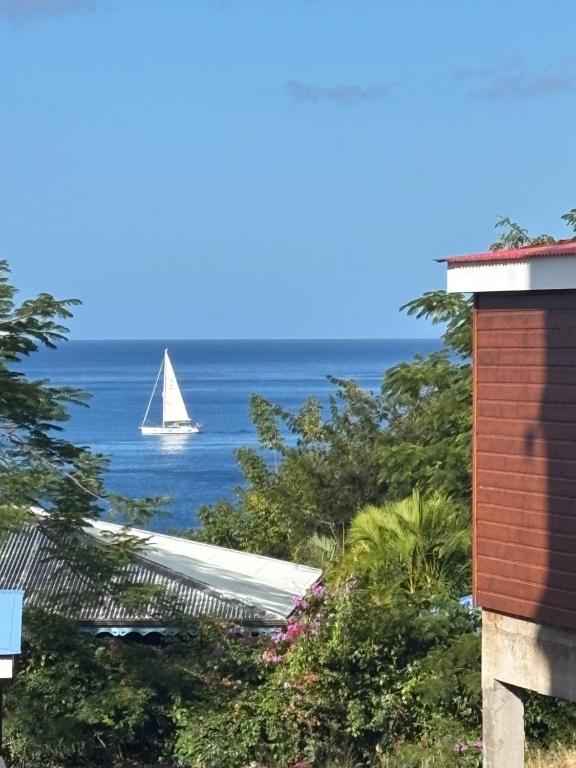 a sailboat in the ocean with a building and trees at La Baie des Villas in Deshaies