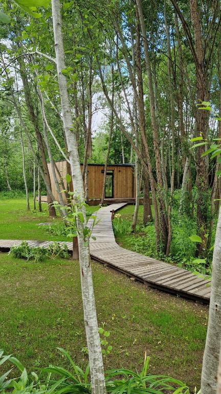 a wooden walkway leading to a cabin in the woods at Poilsio nameliai TekaTeka in Anykščiai