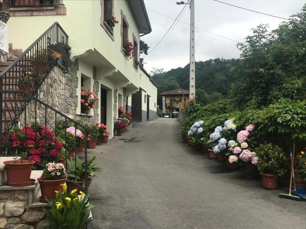 a street with flowers in pots next to a building at CASA EL CASTAÑÉU in Arriondas
