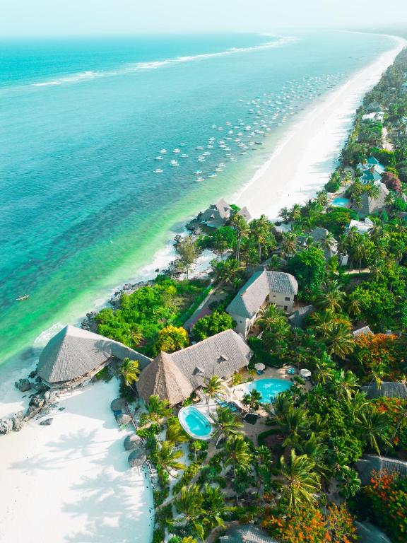 an aerial view of the beach and the ocean at SeVi Boutique Hotel in Matemwe