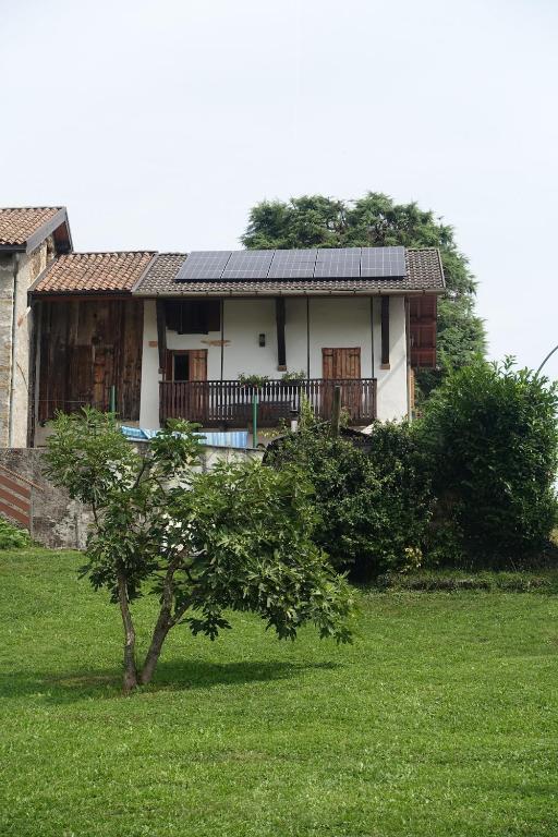 a house with a tree in front of it at Dolomiti Bellunesi in Belluno