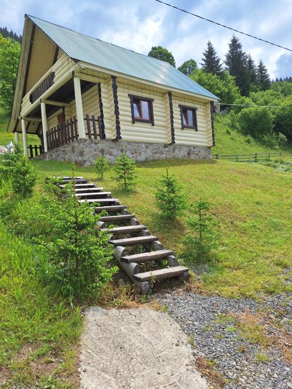 a house with a set of stairs in front of it at Лісовий котедж in Synevyrsʼka Polyana