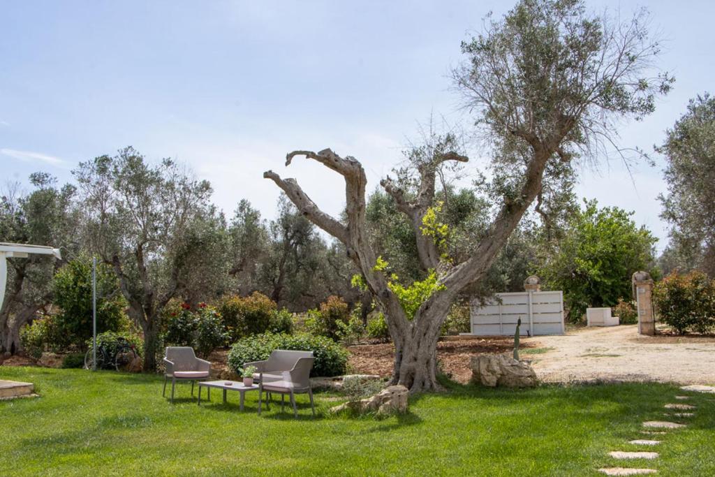 Trullo Canicchiulo by Perle di Puglia