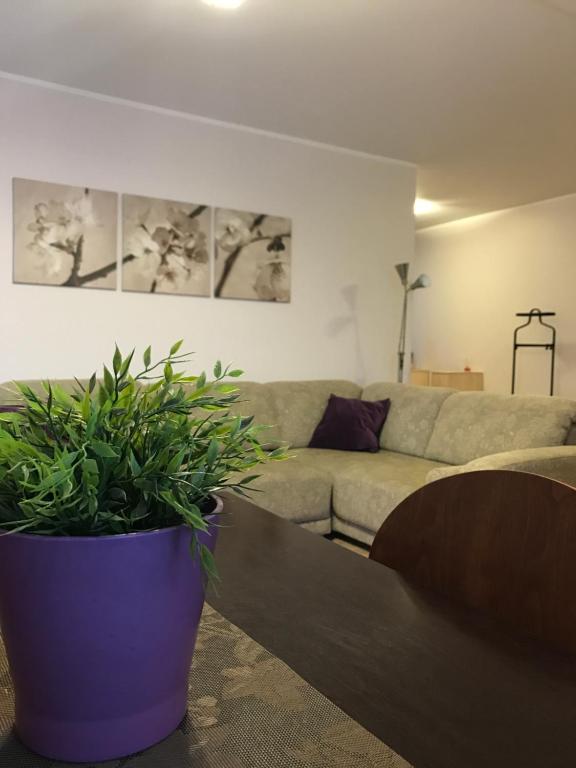 een woonkamer met een bank en een potplant bij Šaulys1 in Druskininkai