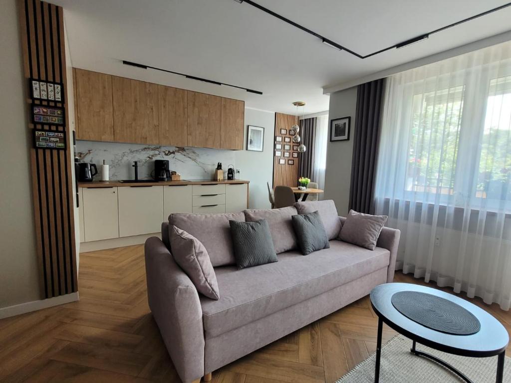 a living room with a couch and a kitchen at Apartament Skansen - Sanok in Sanok