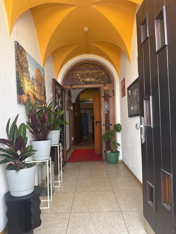 an entrance to a hallway with potted plants at Hotel Mosel Star in Bernkastel-Kues