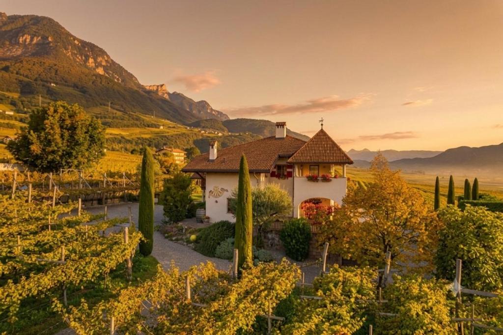 a house in the middle of a vineyard with trees at Weinberghof in Termeno