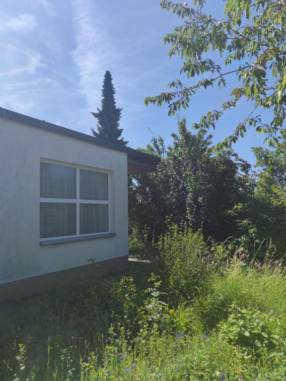 a white house with a window in a yard at Gästehaus Café Daheim - Self Check-in in Buoch