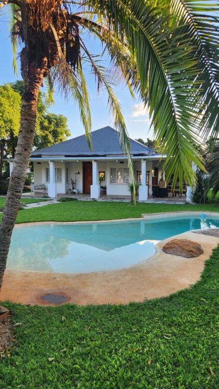 a house with a palm tree and a swimming pool at FinchDen House in Bulawayo