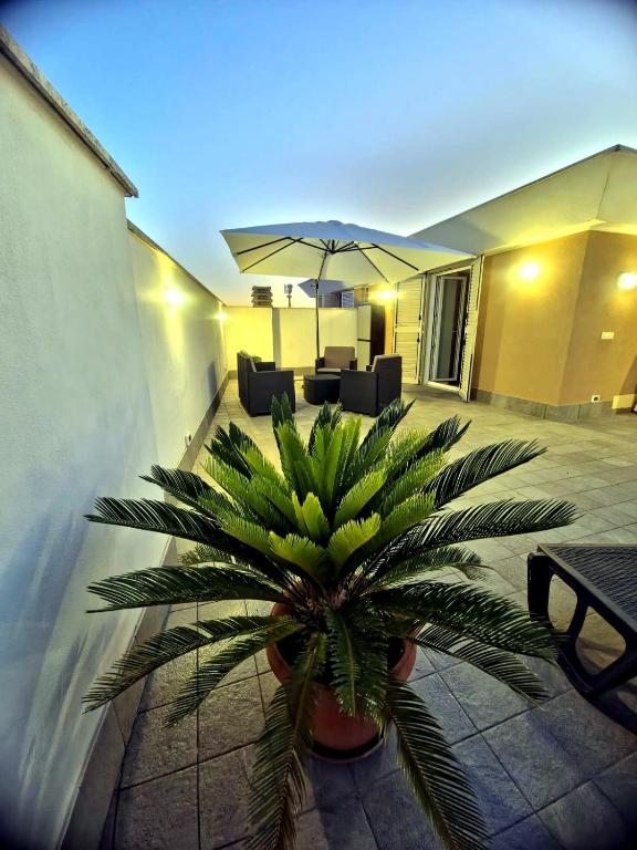 a plant in a pot on a patio with an umbrella at CasaKami Sky Terrace in Nettuno