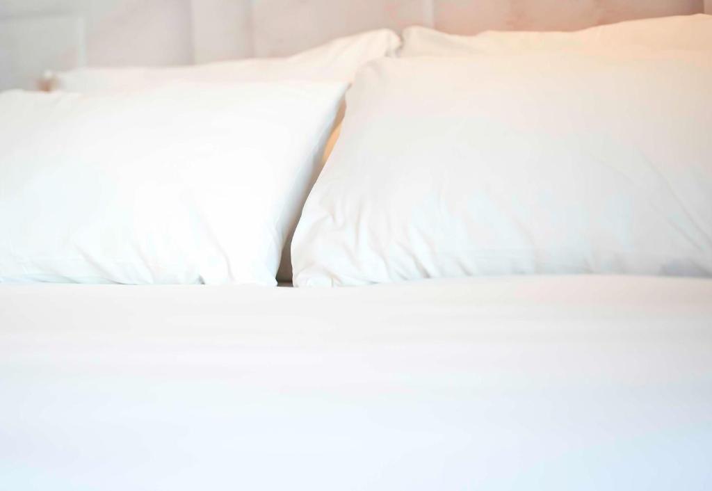 B&B HOTEL Colmar Expo – photo 24