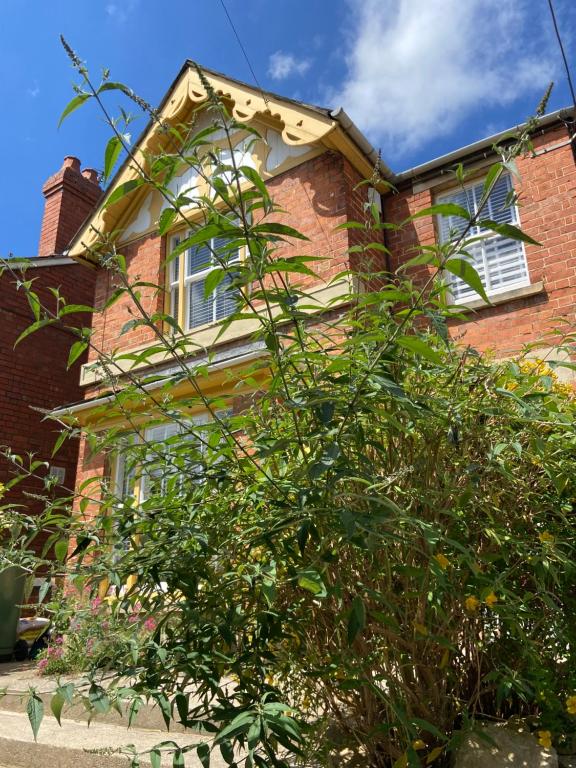 a brick house with a tree in front of it at Glen Villa - 3 bedroom house - Stroud town centre in Stroud