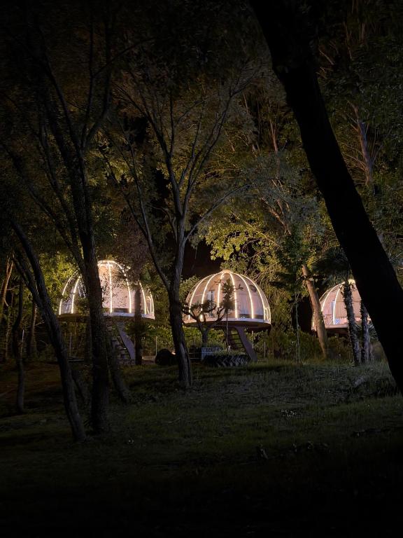 a lit up domed building in a park at night at Under the Stars Domes in Shkodër