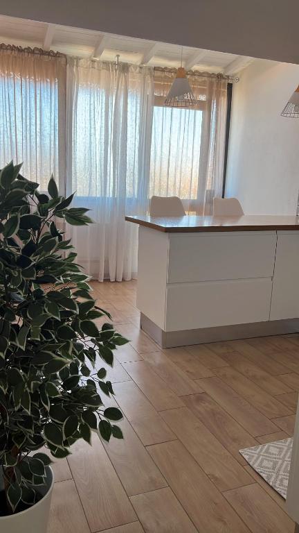 a kitchen with a counter and a plant in a room at Cuore Selargius in Selargius