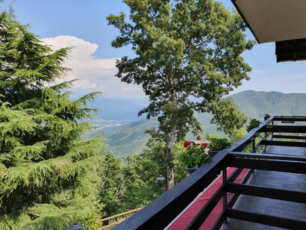 Hotel Spa Toscana - Locanda Il Rustichello - Error
