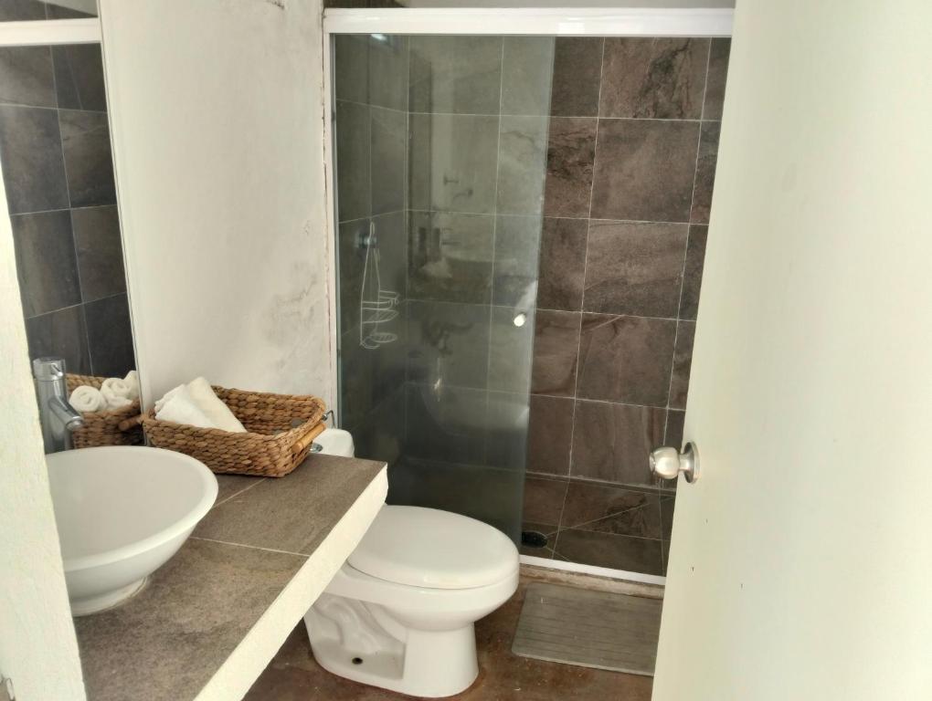a bathroom with a toilet and a shower at Mi casa de campo Tlayacapan in Tlayacapan