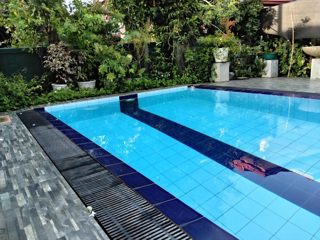 a swimming pool with blue tile in a backyard at Villu Villa in Anuradhapura