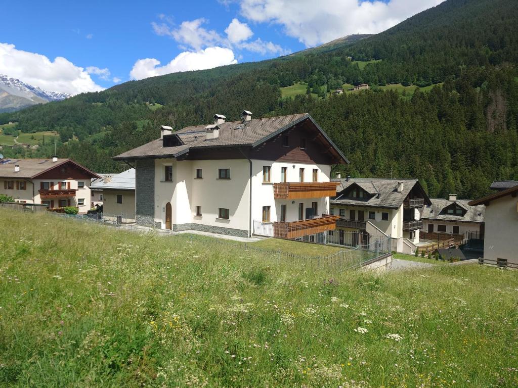 a group of houses on a hill with a field at Casa Marika in Valdisotto