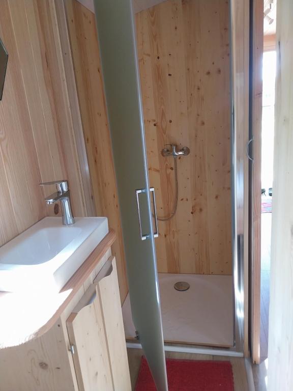 a bathroom with a shower and a sink at La Roulotte de piégut in Piégut-Pluviers
