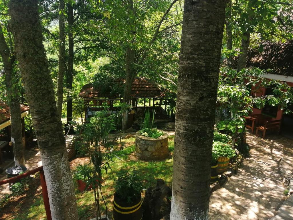 a garden with trees and plants in a yard at Gorna Kukja Apartments in Demir Hisar
