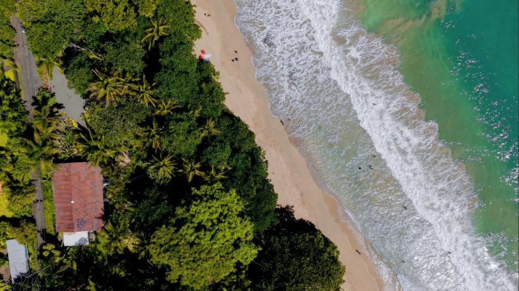 an overhead view of a beach and the ocean at Our Beachfront Bungalow in Puerto Viejo