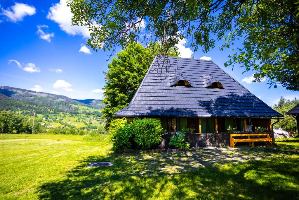 a house with a roof on a green field at DejaView Casa Veche in Rogojel