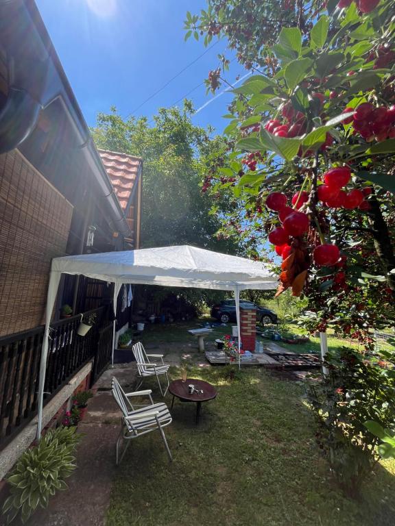 a white tent and two chairs and a table in a yard at Ordinacija pod šljivom in Pirot