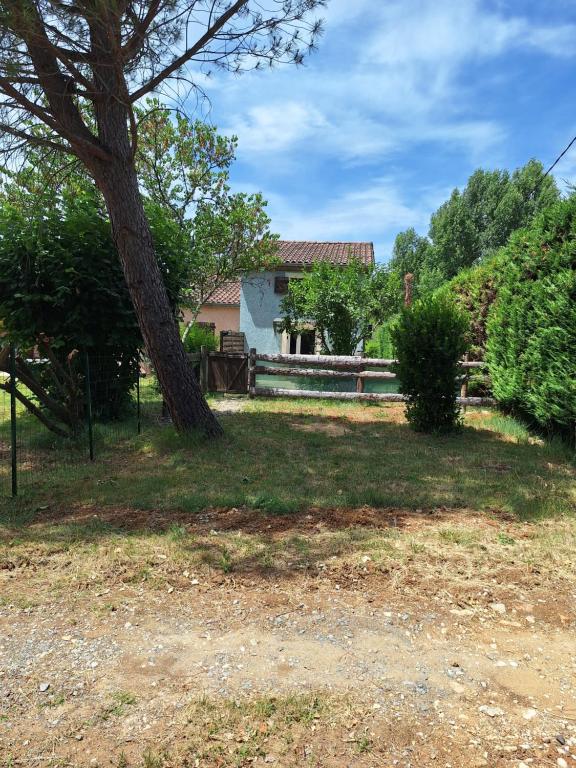 a yard with a tree and a house at Les cyprès in Lagorce