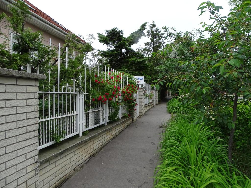 Gallery image of Apple guesthouse in Budapest