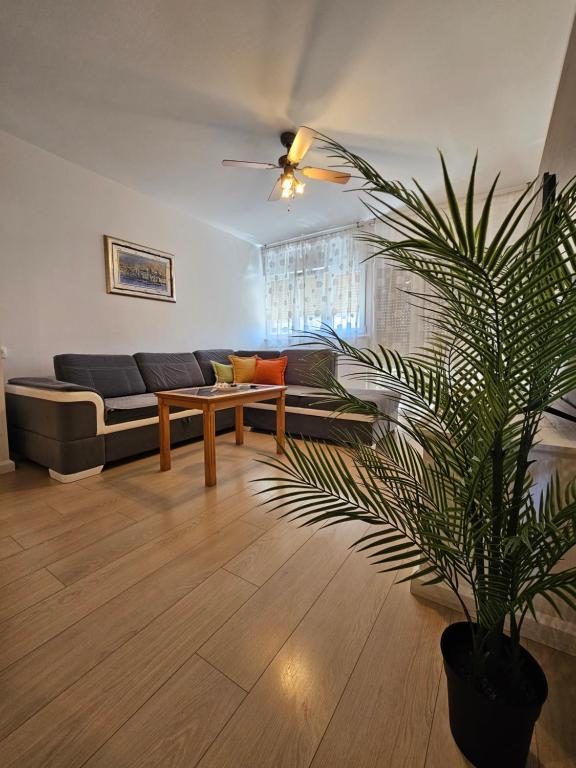 Apartment Dumbo