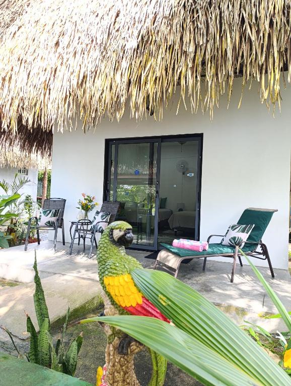 a parrot statue in front of a house at Chagres River Lodge in Santa Rosa