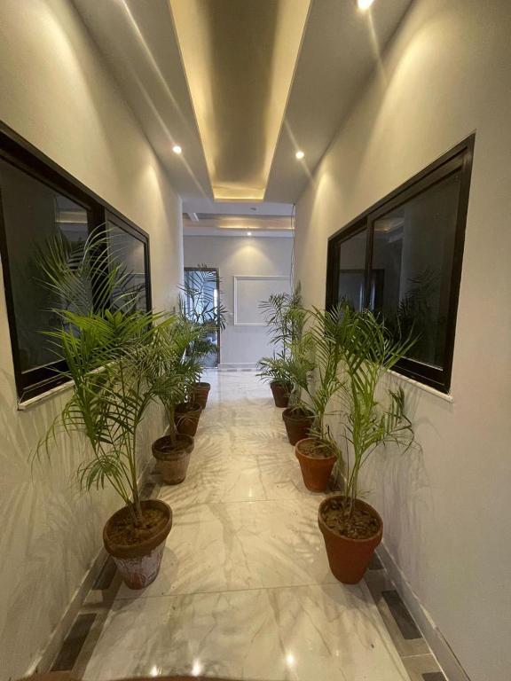 a hallway with a row of potted plants at Jinnah Mall Main Boulevard Jubilee Town in Lahore
