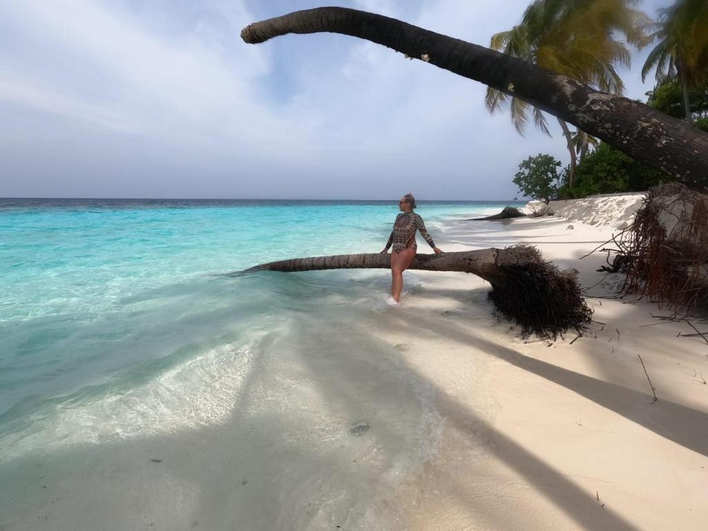 Oceana Surf Maldives - Kudahuvadhoo Island Surf Retreat - View 29