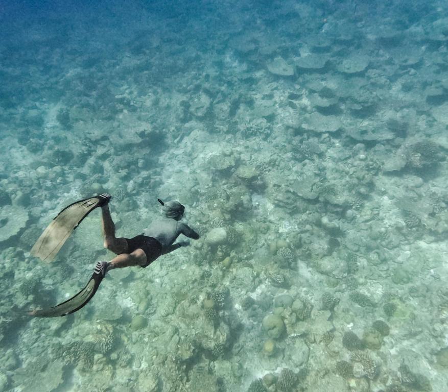 Oceana Surf Maldives - Kudahuvadhoo Island Surf Retreat - View 33