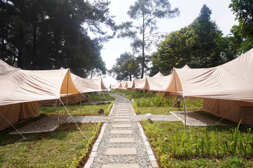 a row of tents in a field with grass at Kabut Pinus Comfort Camp in Palasari