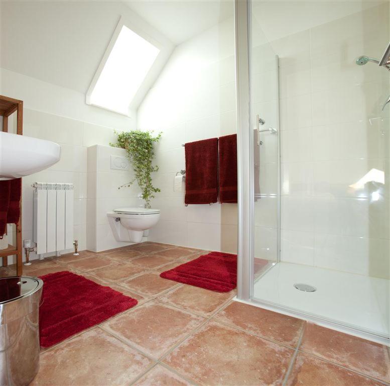 a bathroom with a shower and a toilet at " Zum alten Schlawiner " in Orsingen-Nenzingen