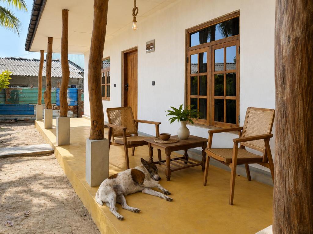 a dog laying on the floor in front of a house at TK Stay in Arugam Bay