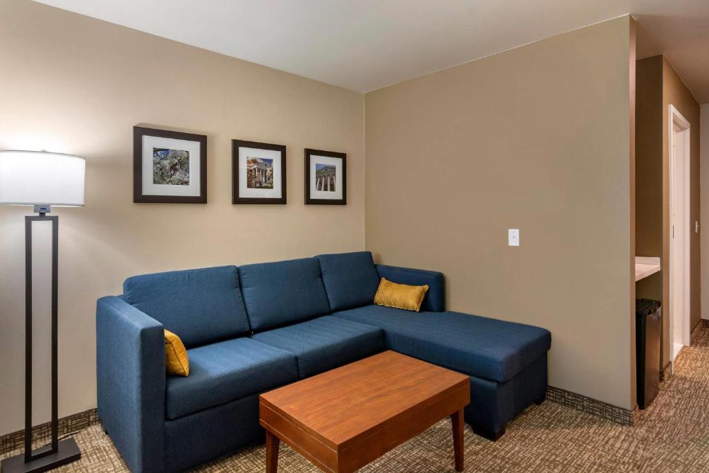 Comfort Inn & Suites Charlottesville Hollymead Town Center photo