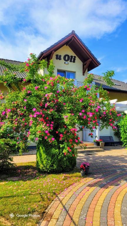 a building with a large bush with pink flowers at Pokoje Gościnne u Oli in Wisełka