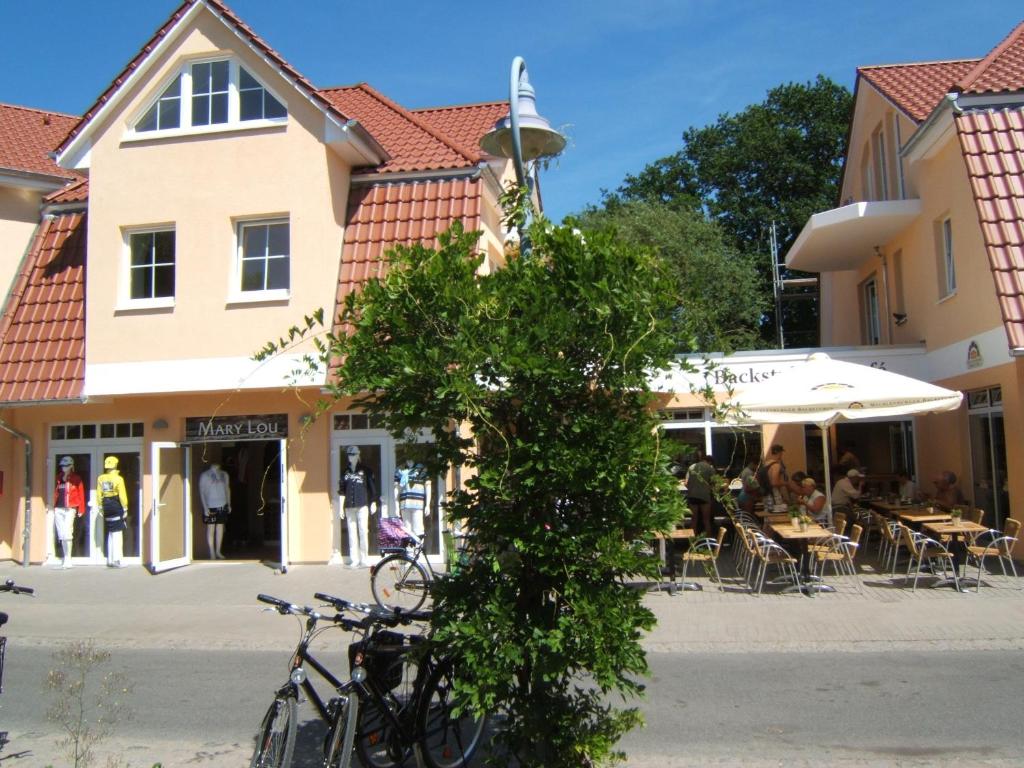 ツィングストにあるFerienwohnung SEEWOLF im Herzen von Zingstの建物前の木の横に停めた自転車