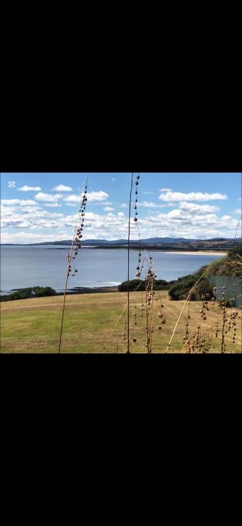 a view of a field with a body of water at The Bass Horizon - 5 bedrooms - 10 people - Bass Strait View in Devonport