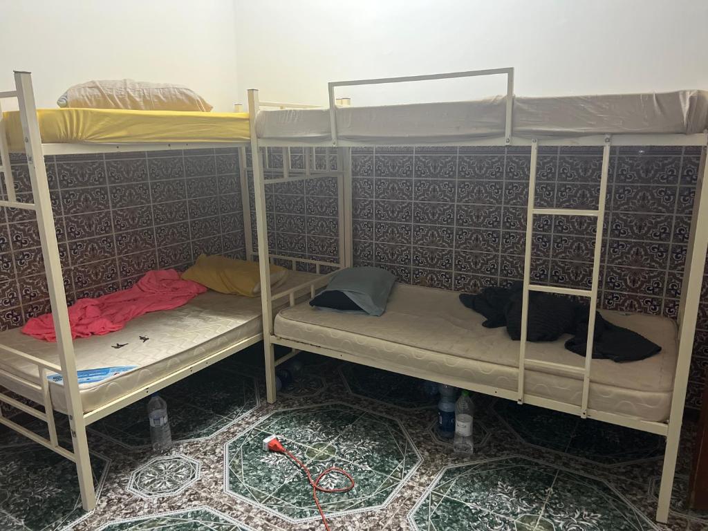 a room with three bunk beds with a cat laying on them at Beach hostel in Muscat