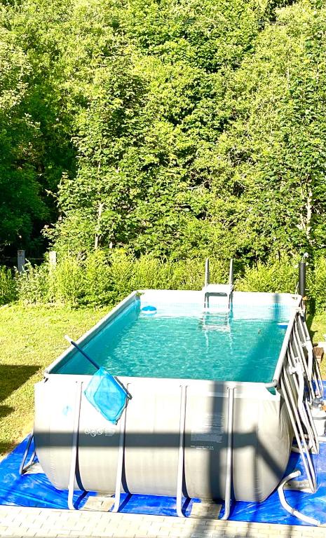 a poolificialificialificialificialificialificialificialificialificialificialificialificialificialificial at Apartmanovy dům Bublajda in Bublava