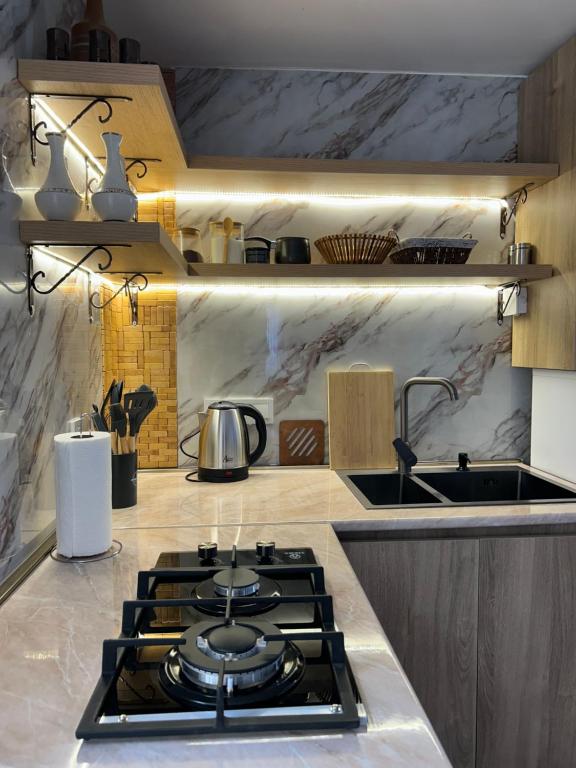 a kitchen with a stove top oven in a kitchen at Kostas guest house in Borjomi