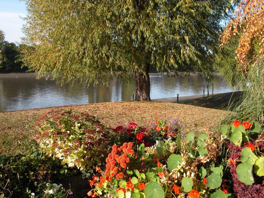 Chiswick Riviera با پارکینگ رایگان