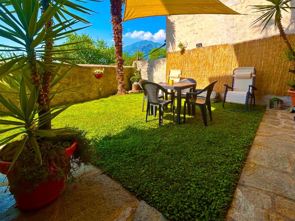 a patio with a table and chairs and a palm tree at Foresteria Kiki in Gravedona