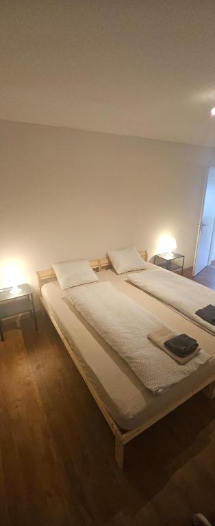 two twin beds in a room with two lamps at Sensi Living Dorf in Freienbach