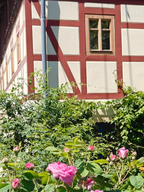 a building with a window and pink roses at Urlaub im 200 Jahre alten Fachwerkhaus in Lichtenhain