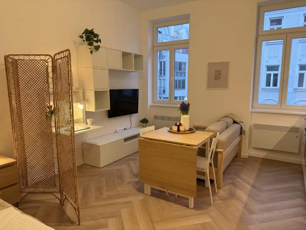 Renovated Apartment near Center