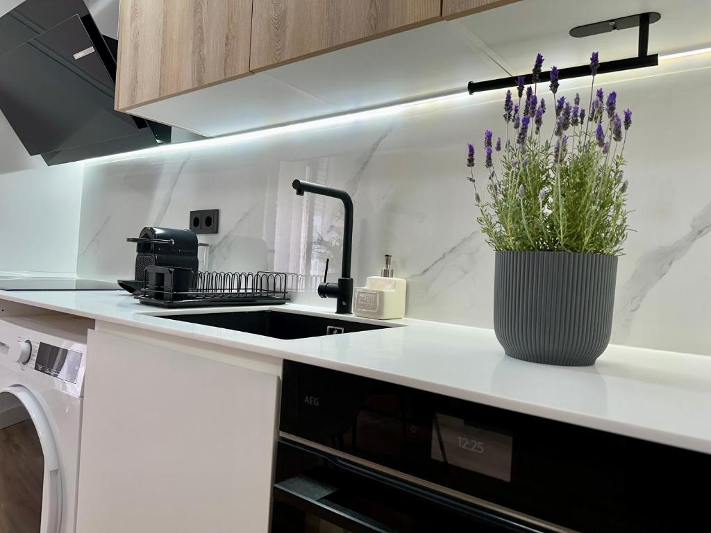 Apartamento moderno en el corazón de Ciutat Vella